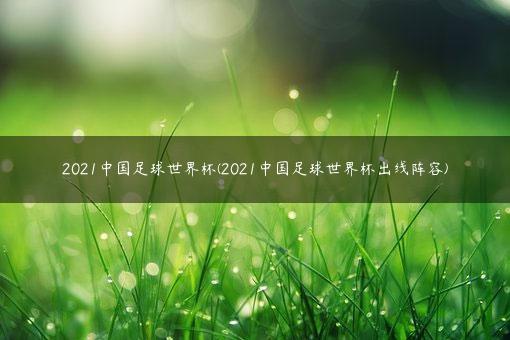 2021中国足球世界杯(2021中国足球世界杯出线阵容)