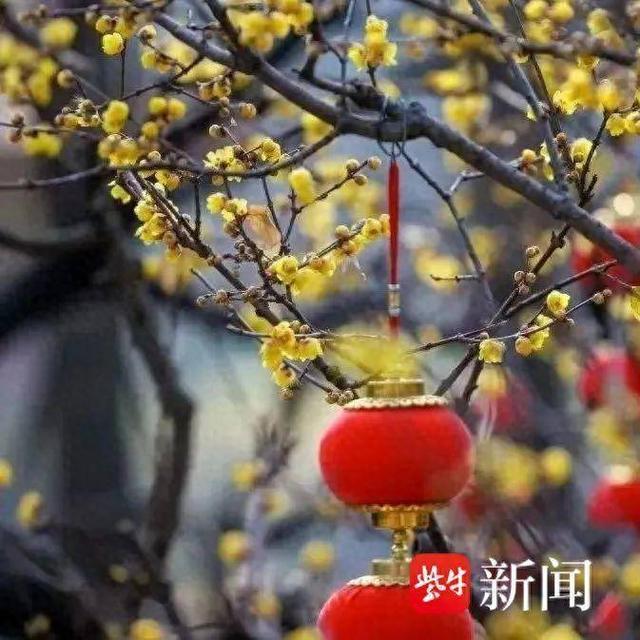 春节期间，无锡文旅推10大主题活动，祈福、赏灯、嗨购、文艺等，都有的去