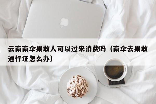 云南南伞果敢人可以过来消费吗（南伞去果敢通行证怎么办）