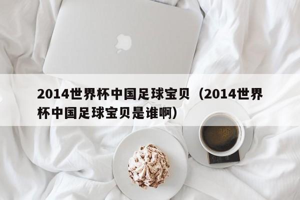 2014世界杯中国足球宝贝（2014世界杯中国足球宝贝是谁啊）